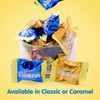 WHITMAN'S S'Mores Caramel Milk Chocolate Candy, Bag 7.3. oz