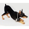 Conversation Concepts Doberman Figurine Black MyDog