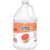 Citrus Fertilizer for All Citrus and Fruiting Trees, Liquid Plant