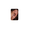 PRTGL Flat Back Earringg - 6pcs 14k Gold Plated Tiny