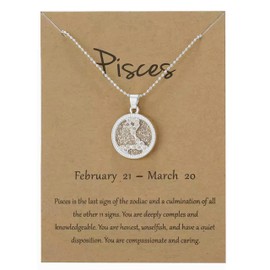 Silver Star Sign Coin Constellation Pendant Chain Necklace – Day – Pisces (19th February - 20th March) - Zodiac Constellation Horoscope Celestial Astrology Jewellery - Women Men Gift