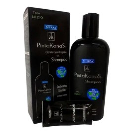 Shampoo Pintakanas 4 Piezas Sin Peroxido Ni Amoniaco Medio