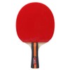 [通拓商品]Table Tennis 2 Player Set 2 Table Tennis Bats Rackets