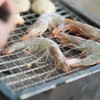 JoyRay Grill Rack Grids, Stainless Steel BBQ Roasting Rack or