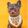 Tees & Tails Game Day Football Dog Bandana (Natural, OS