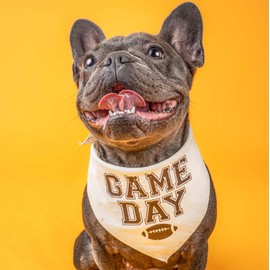Tees & Tails Game Day Football Dog Bandana (Natural, OS 862)