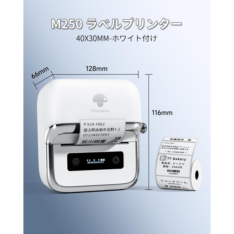 Phomemo M250 Label Printer, Smartphone Compatible, Label Writer, Sticker Printer,