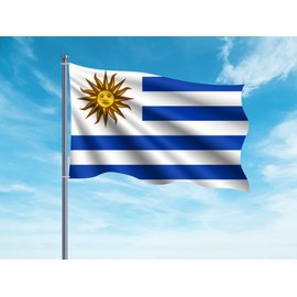 OEDIM Uruguay Flag | 5ft x 33in | Reinforced and Stitched | Flag with 2 Metal Eyelets Waterproof