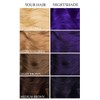 Lunar Tides Semi-Permanent Hair Color (43 colors) (Dark Violet, 4