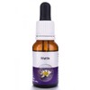 Living Essences Wattle Flower Essence 100 ml