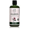 Petal Fresh Shampoo, Tea Tree, 16 Ounce