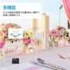 Painting Sticks, Paint Clips, Cat Hands, Plastic Model, 50 pcs,