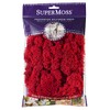Super Moss (25122) Reindeer Moss Preserved, Red, 2oz