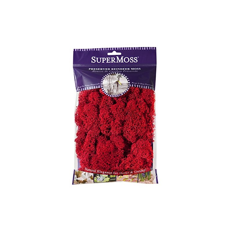 Super Moss (25122) Reindeer Moss Preserved, Red, 2oz
