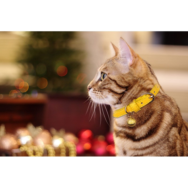 3 Pack Leather Cat Collars with Bells Soft Pet Safety