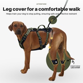 ANAFNI Easy Walk No Pull Dog Harness for Large Dogs, Heavy Duty Tactical Dog Harness with Handle, Easy Control and Training Better Leash Manners (Moss Green, Large)