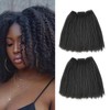 Awesome Hair Weave S/W Maxine (2Pcs) (1B)