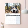 Animal Selfies Calendar 2026 A4 12 Month to View Wall