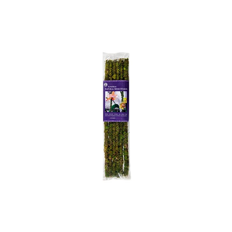 SuperMoss (22050) Moss Stakes Preserved, Fresh Green, 18" (Pack of