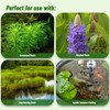 Aquatic Soil for Plants - 2.2LBS, Clay Aquarium Soil Suitable