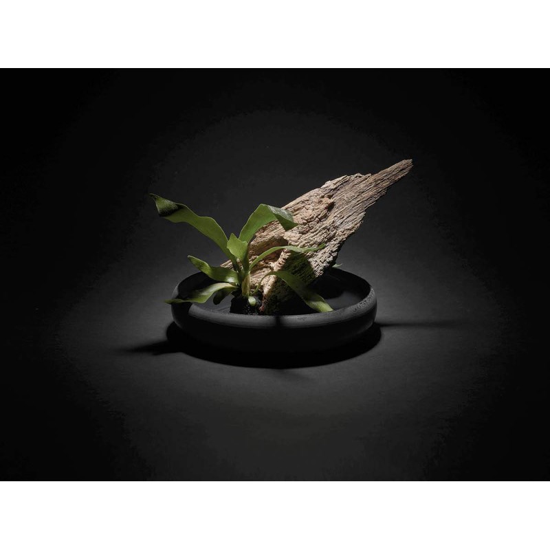 Ovject O-IKEBANA30-LO Flower Vase, Flower Base, Flower Base, Hollow Iron,