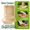 Lxins ECO 9x9 Inch To Go Boxes 75 Pack, Compostable