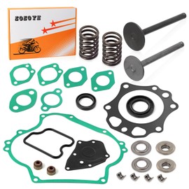 Intake Exhaust Valve Gasket Seal Spring Cotter Retainer Seat Kit for Club Car Golf Cart DS Predent FE290 290cc Engine 1992-Up 1016447 1016448