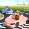 3 Modes Exercise Ball & Car Toy Set: Detachable Transparent