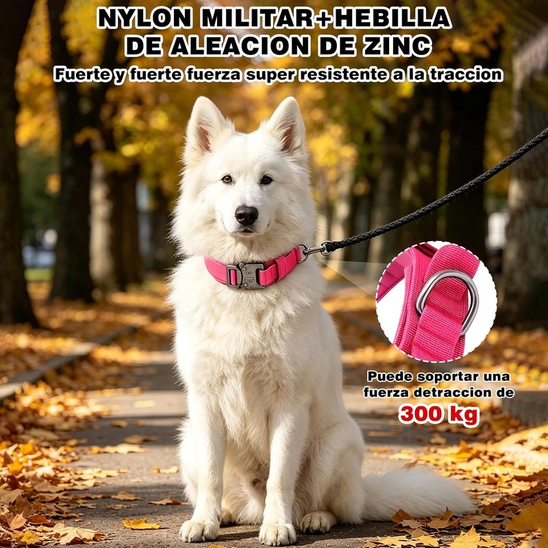 Collar de Perro Táctico, Collar para Perro de Nailon Militar
