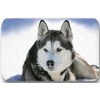 Merchandise for Fans Siberian Husky/Alaskan Malamute/Sleigh Dog - 6 Rectangular