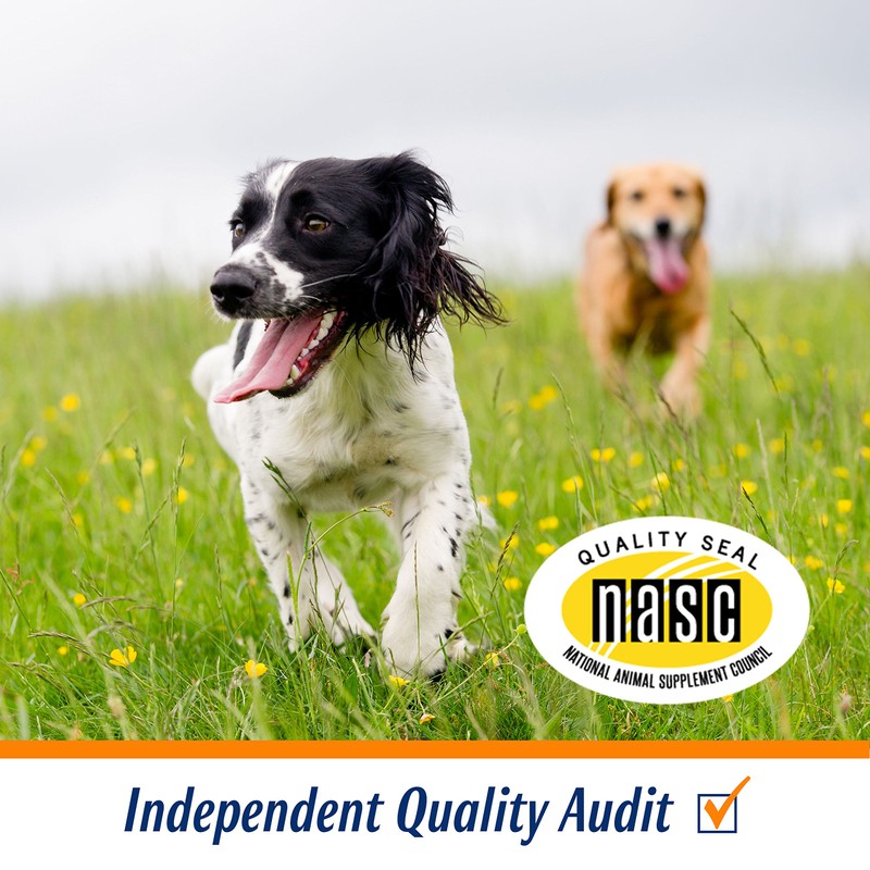 ProSense Regular Strength Glucosamine Tablets for Dogs, 60 ct