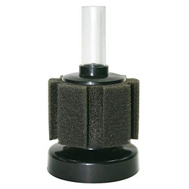 ICA bfbaby Filter Bio-esponja Ocean Free