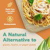 Leafyglo Natures Vajilla de hoja de palmera de 20,32 cm,