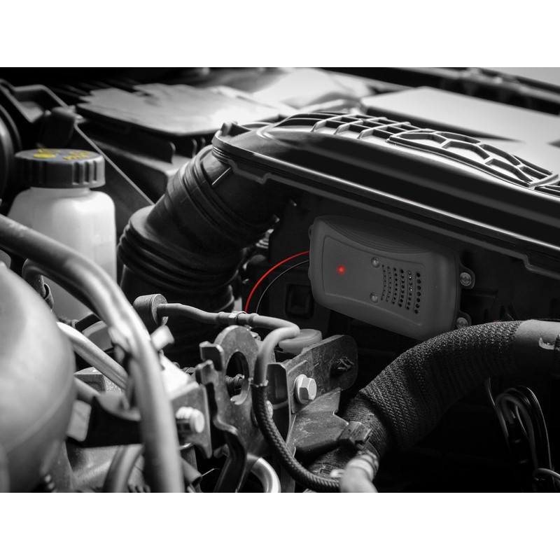 LAS 16276 Ultrasonic Marten Repeller with Flash LEDs