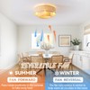 20'' Boho Ceiling Fan with Light, Rattan Caged Ceiling Fans