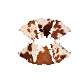 Cowhide Coaster Set of 4 pcs Natural Cowhide Drink Coasters Hair On Coasters Leather Tea Cup Coasters Home Décor & Home Living Ideas (Cow)