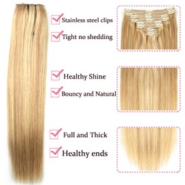 Human Hair Clip in Extensions Dark Blonde Highlighted Bleach Blond Full Head Silky Straight Clip in Natural Remy Human Hair Extensions 120g 8pcs (22 inch, 18/613)