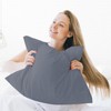 Pamposh Pillow Cases 2 Pack Premium Brushed Microfibre Pillow Covers