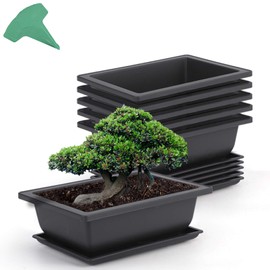 GROWNEER 6 Packs 9 Inches Bonsai Training Pots with 15 Pcs Plant Labels, Plastic Bonsai Plants Growing Pot for Garden, Yard, Office, Living Room, Balcony and More