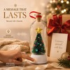 Recordable Christmas Message Bottle Ornament for Holiday Gifts – Voice