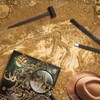 Dinosaur Fossil Digging Kit for Kids and Adult, STEM Science