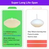 120+ Hours LED Floating Candles for Centerpieces – 12 Pack