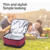 Portable Electric Lunch Box Food Heater USB Constant Heating Insulation