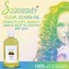 Soapeauty Clear Jojoba Oil | 100% Pure & Natural |