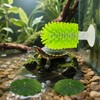 2 Pcs Turtle Brush with Suction Cups, 2 Large Decorative