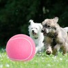 Segzwlor Dog Toy Ball - 9.5" Large Tennis Balls for