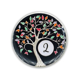 2 Year Sobriety Chip | Tree of Life AA Coin Token Medallion with Glow in The Dark Recovery Anniversary