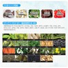 Entry Propolis 4+1 Natural Antioxidant / 엔트리 프로폴리스 4+1 천연