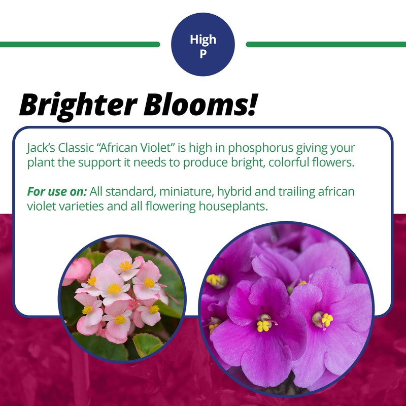 Jack's Classic 12-36-14 African Violet Water-Soluble Fertilizer with Micronutrients for