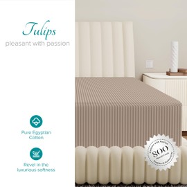 Carressa Linen 100% Egyptian Cotton Deep Pocket King Striped Fitted Sheet Only - 800 Thread Count Luxury Damask Fitted Sheet, Soft, Cooling Bottom Sheet, Fits Mattress Upto 18 in - Cocoa Taupe Stripe